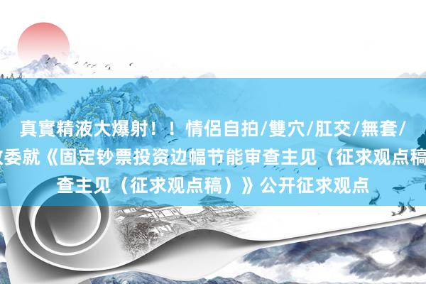 真實精液大爆射！！情侶自拍/雙穴/肛交/無套/大量噴精 国度发改委就《固定钞票投资边幅节能审查主见（征求观点稿）》公开征求观点