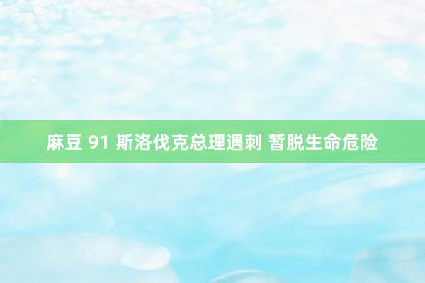 麻豆 91 斯洛伐克总理遇刺 暂脱生命危险