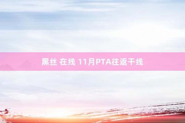 黑丝 在线 11月PTA往返干线